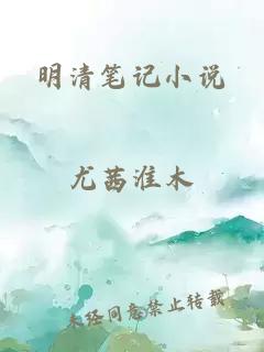 明清笔记小说