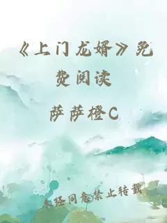 《上门龙婿》免费阅读