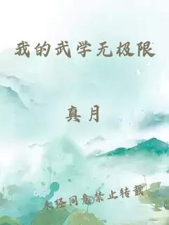 我的武学无极限