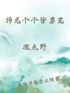 师兄个个皆男宠