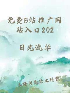 免费B站推广网站入口202