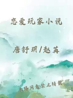 恋爱玩家小说