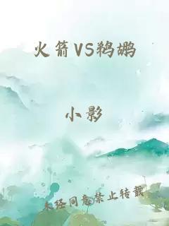 火箭VS鹈鹕