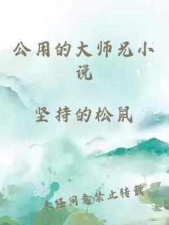 公用的大师兄小说