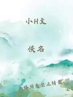 小H文