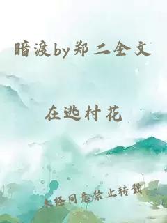 暗渡by郑二全文