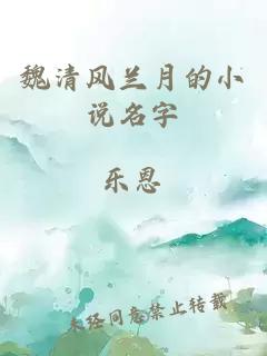 魏清风兰月的小说名字