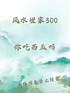 风水世家300