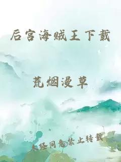 后宫海贼王下载