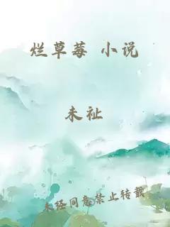 烂草莓 小说