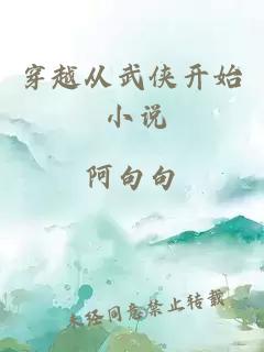 穿越从武侠开始 小说