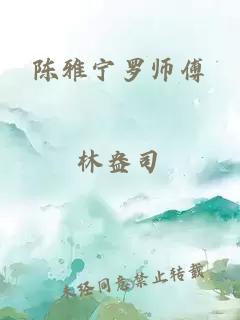 陈雅宁罗师傅