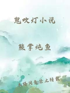 鬼吹灯小说