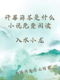 许莓薛芩是什么小说免费阅读