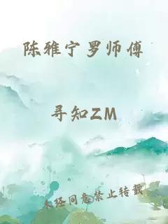 陈雅宁罗师傅