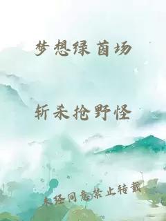 梦想绿茵场