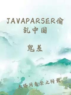 JAVAPARSER偷乱中国