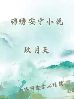 锦绣安宁小说