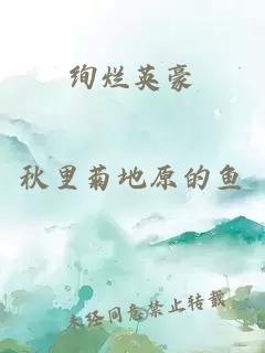 绚烂英豪