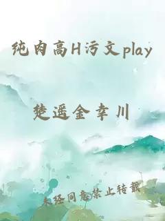 纯肉高H污文play